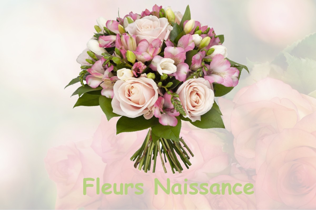 fleurs naissance CHAMPAGNIER