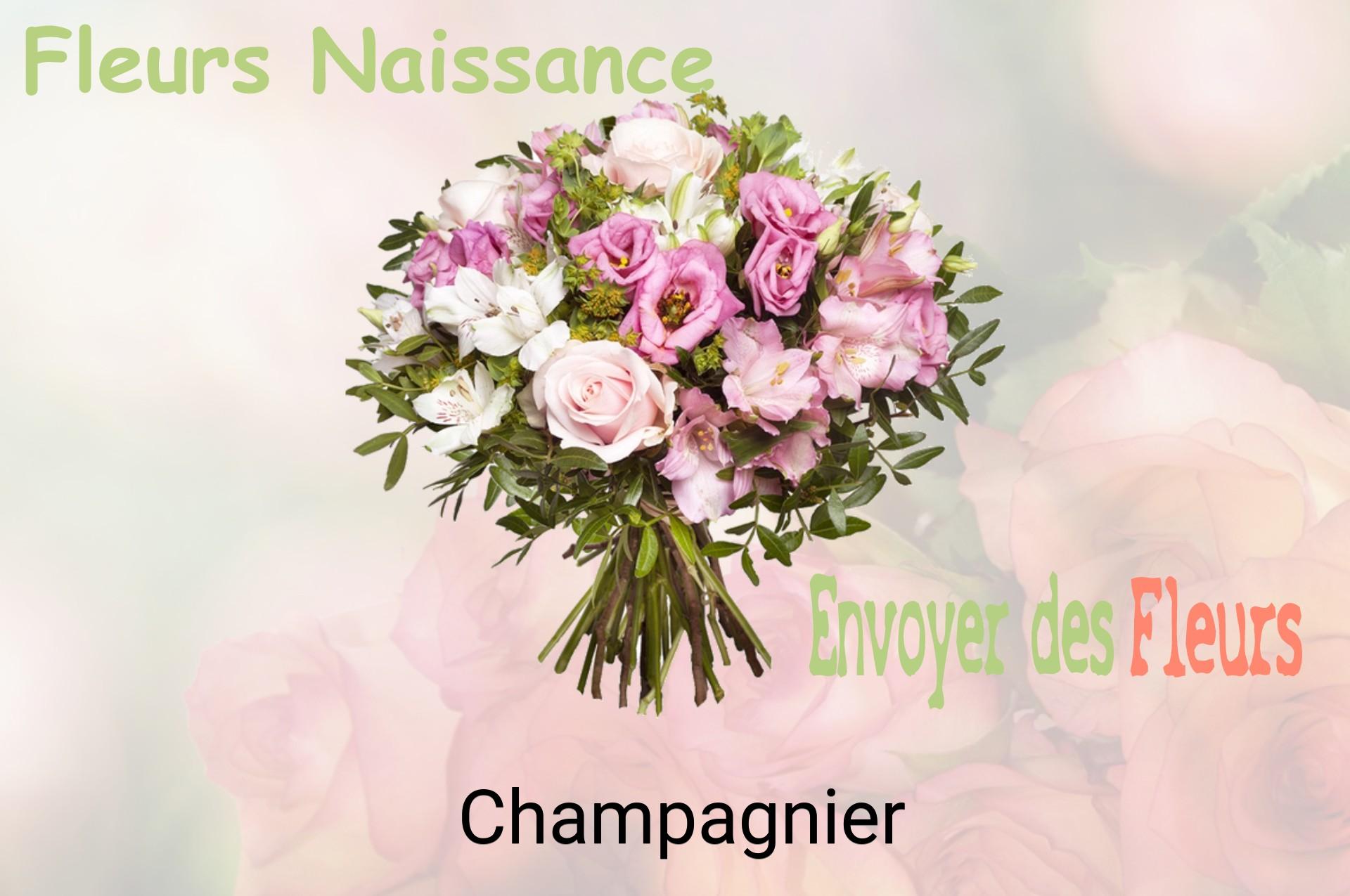 Bouquet de fleurs de naissance livré à Champagnier